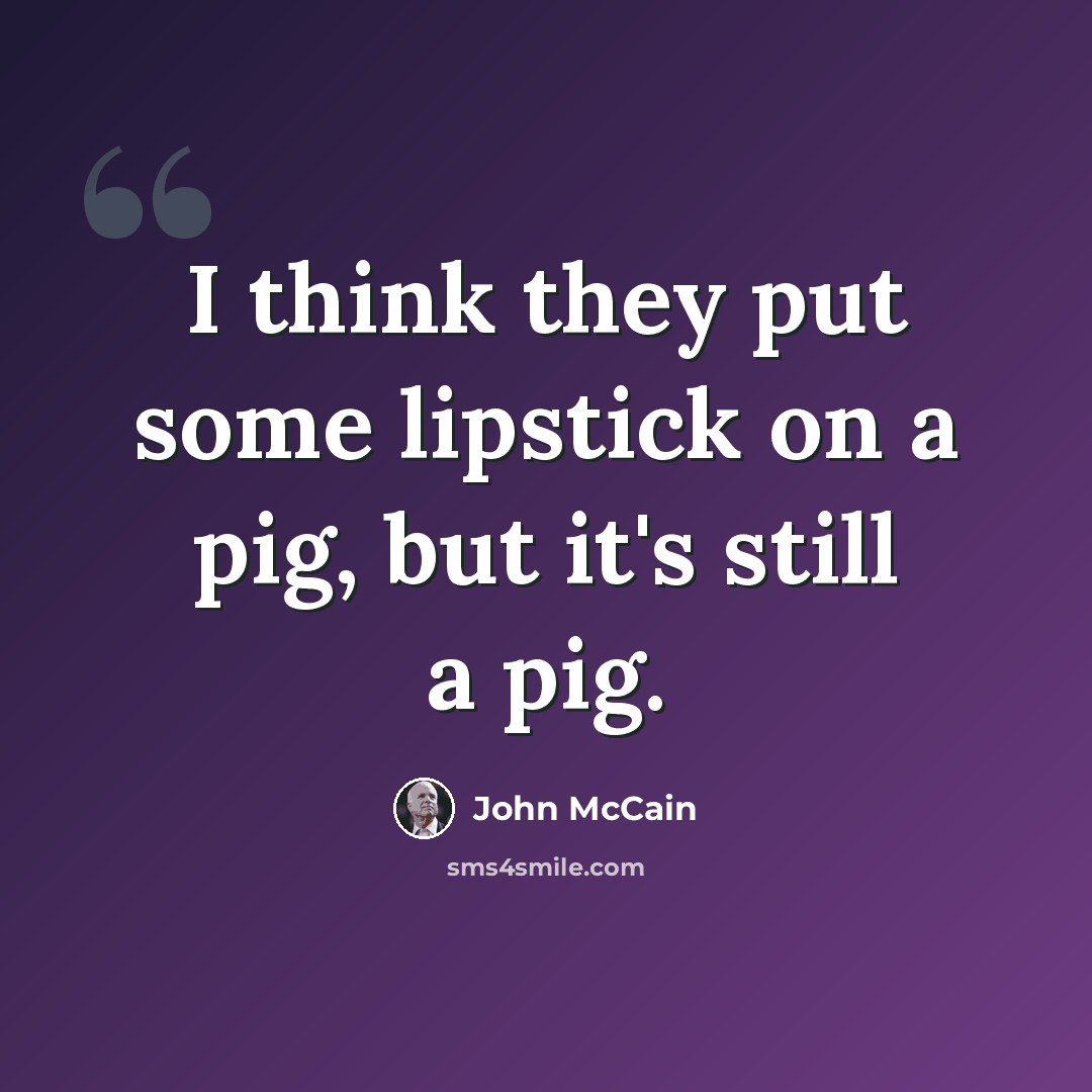 “I think they put some lipstick on a pig, but it's still a pig.” quote by John McCain