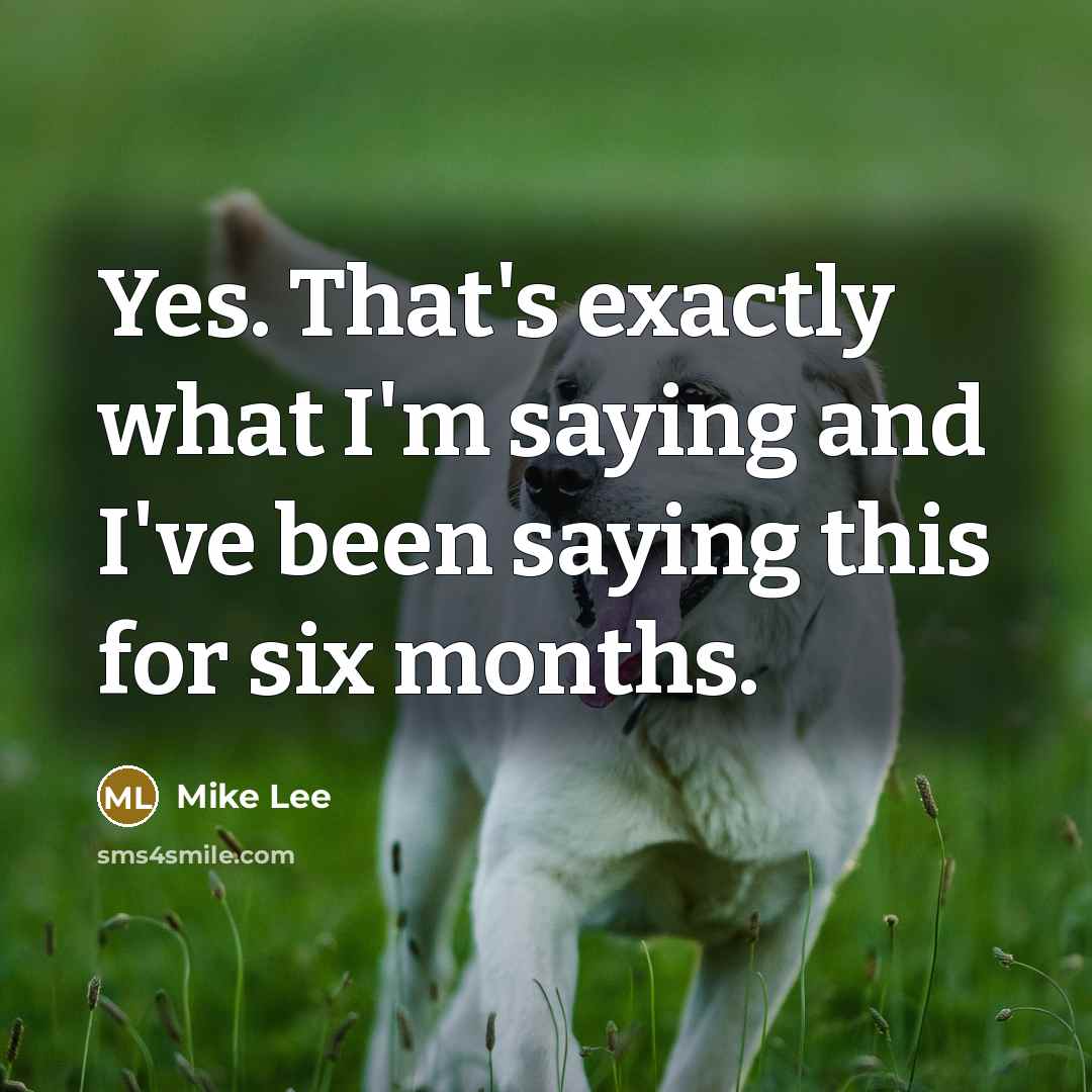 “Yes. That's exactly what I'm saying and I've been saying this for six months.” quote by Mike Lee