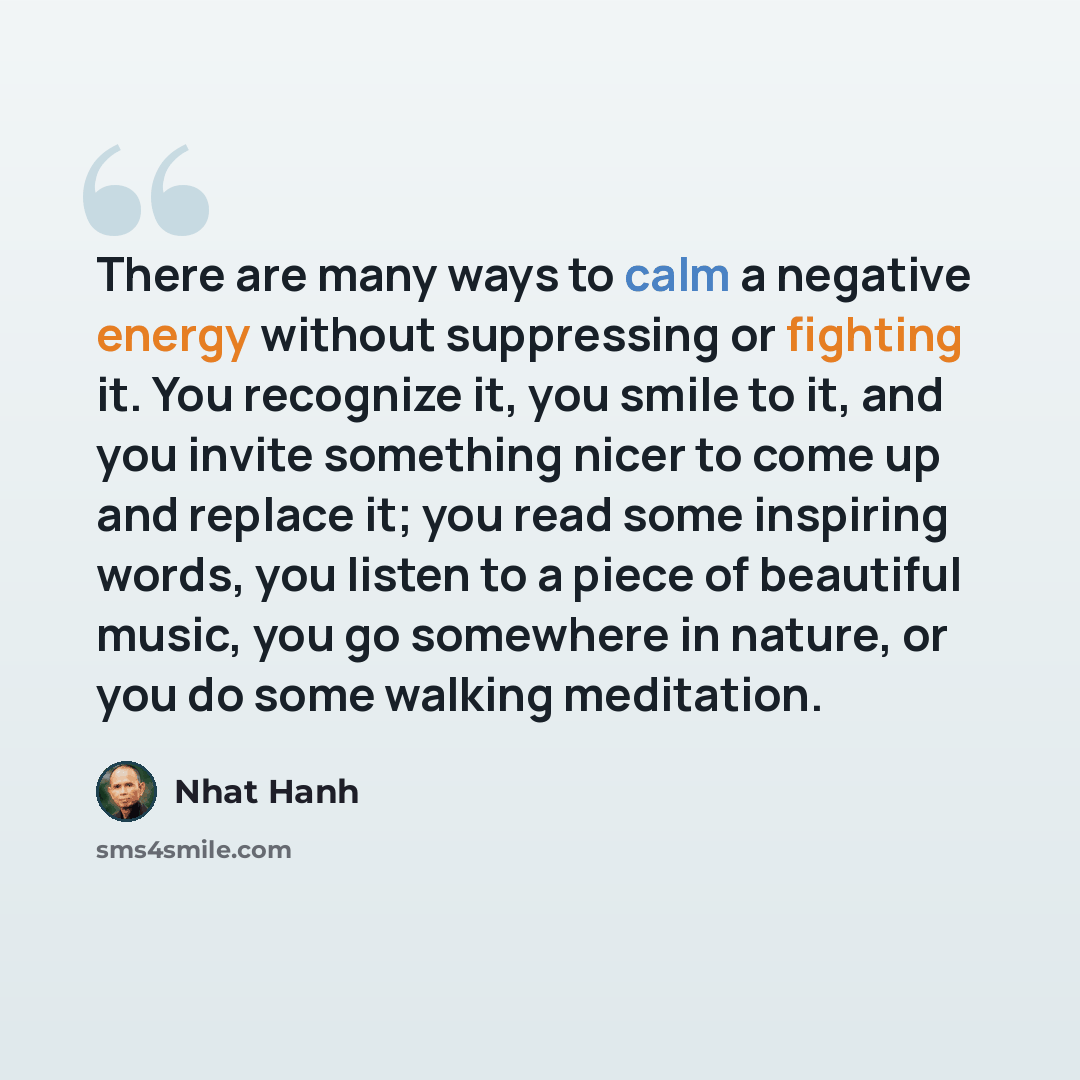 “There are many ways to calm a negative energy without suppressing or fighting it. You recognize it, you smile to it, and you invite something nicer to come up and replace it; you read some inspiring words, you listen to a piece of beautiful music, you go somewhere in nature, or you do some walking…” quote by Nhat Hanh