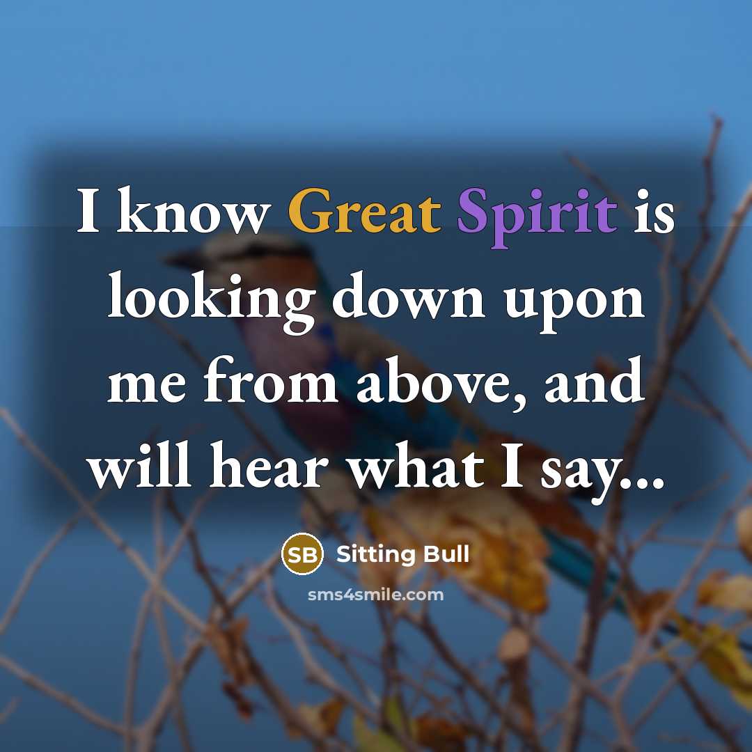“I know Great Spirit is looking down upon me from above, and will hear what I say...” quote by Sitting Bull