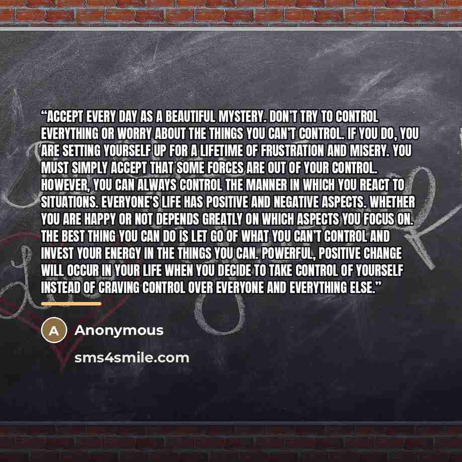 “Accept every day as a beautiful mystery. Don’t try to control everything or worry about the things you can’t control. If you do, you are setting yourself up for a lifetime of frustration and misery. You must simply accept that some forces are out of your control. However, you can always control…” quote by Anonymous
