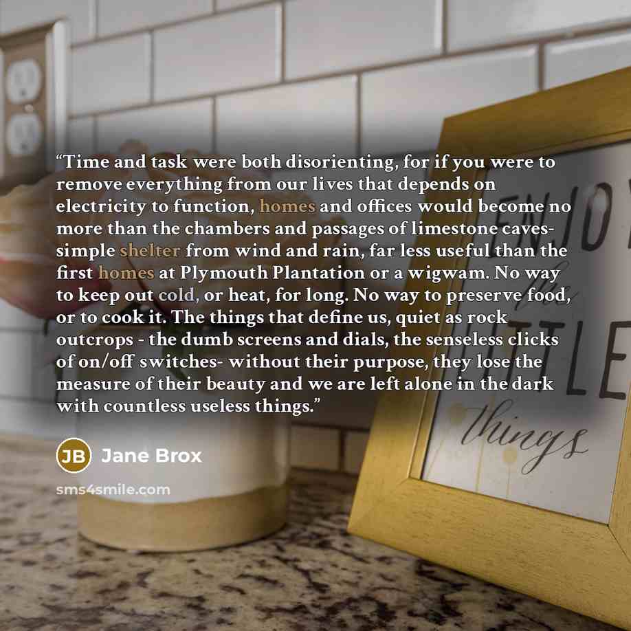 “Time and task were both disorienting, for if you were to remove everything from our lives that depends on electricity to function, homes and offices would become no more than the chambers and passages of limestone caves- simple shelter from wind and rain, far less useful than the first homes at…” quote by Jane Brox