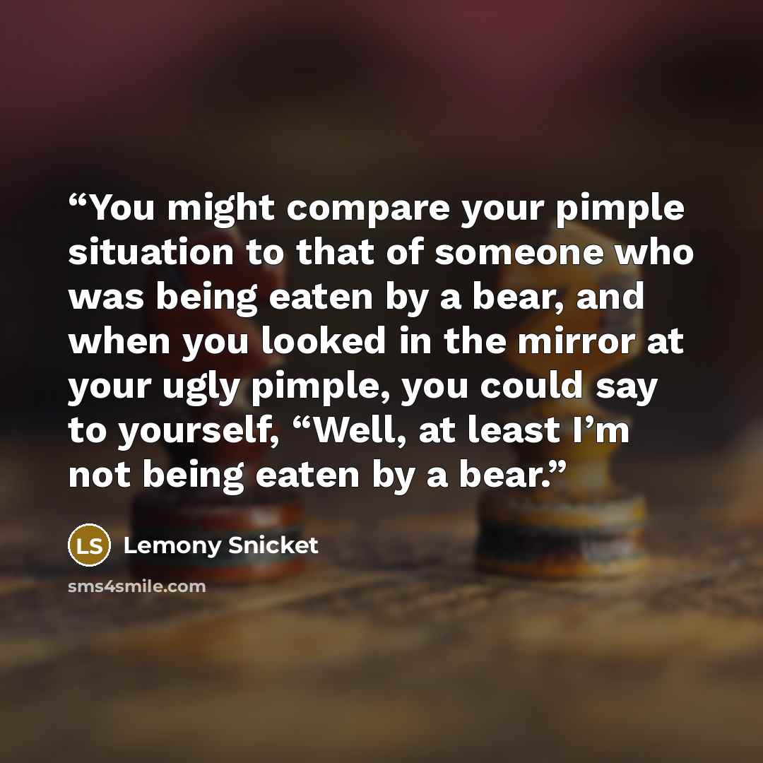 “You might compare your pimple situation to that of someone who was being eaten by a bear, and when you looked in the mirror at your ugly pimple, you could say to yourself, “Well, at least I’m not being eaten by a bear.” quote by Lemony Snicket