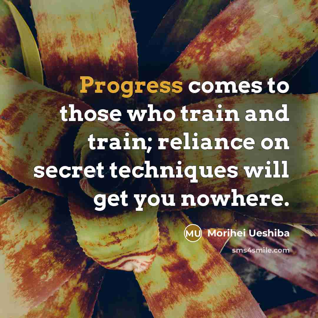 “Progress comes to those who train and train; reliance on secret techniques will get you nowhere.” quote by Morihei Ueshiba