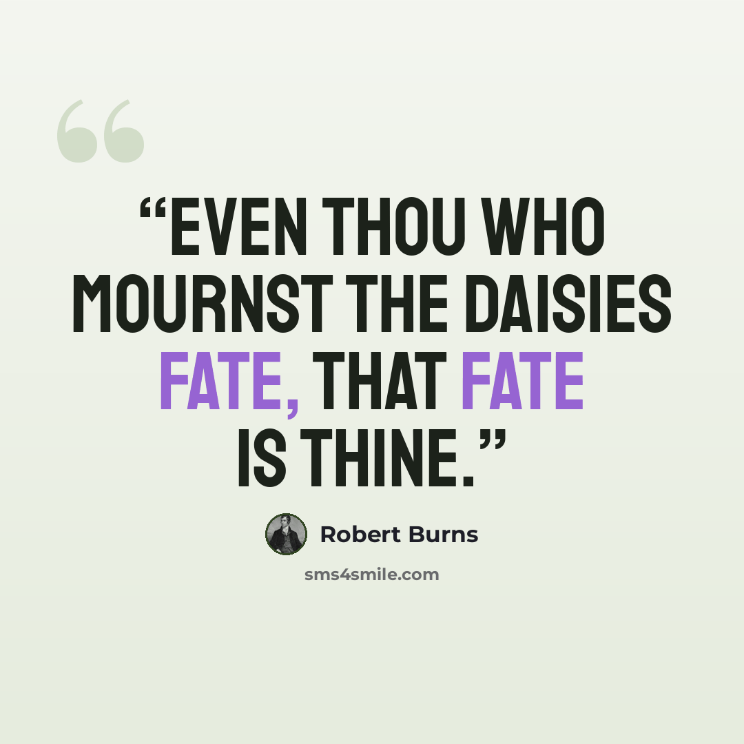 “Even thou who mournst the daisies fate, that fate is thine.” quote by Robert Burns
