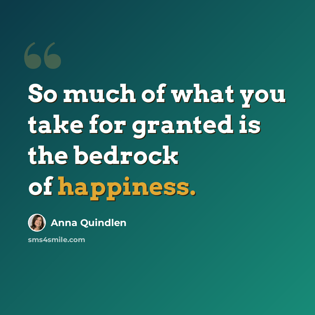 “So much of what you take for granted is the bedrock of happiness.” quote by Anna Quindlen