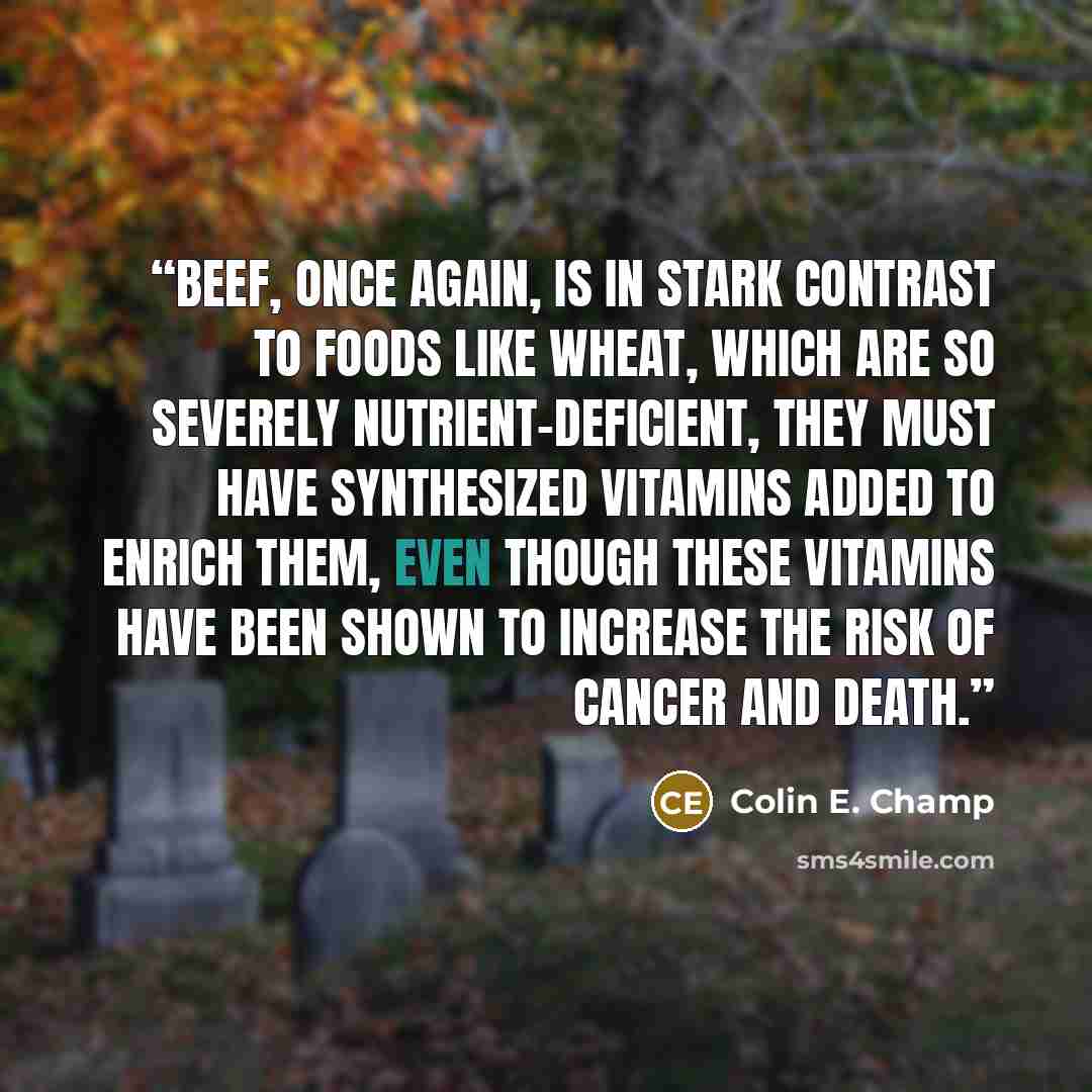 “Beef, once again, is in stark contrast to foods like wheat, which are so severely nutrient-deficient, they must have synthesized vitamins added to enrich them, even though these vitamins have been shown to increase the risk of cancer and death.” quote by Colin E. Champ