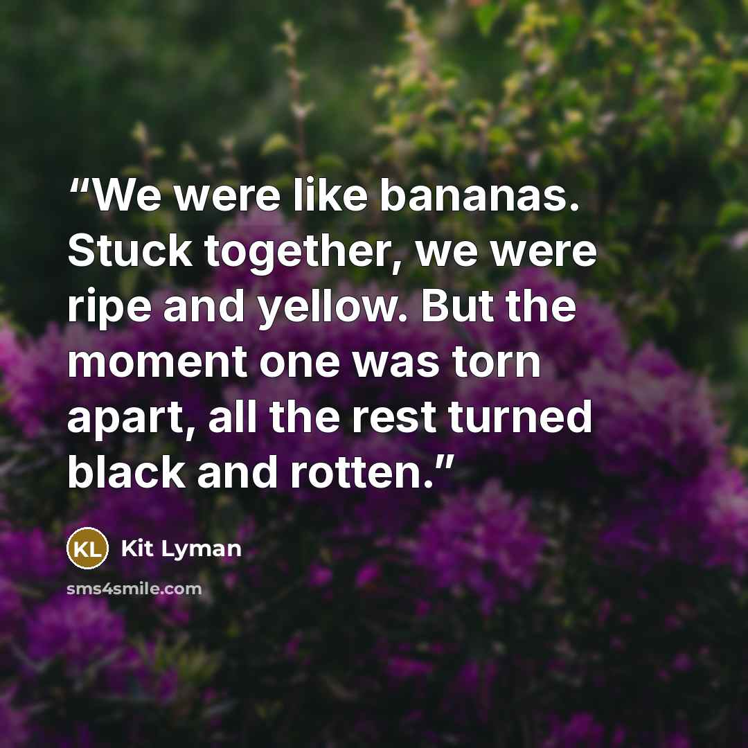 “We were like bananas. Stuck together, we were ripe and yellow. But the moment one was torn apart, all the rest turned black and rotten.” quote by Kit Lyman