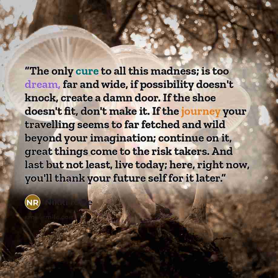 “The only cure to all this madness; is too dream, far and wide, if possibility doesn't knock, create a damn door. If the shoe doesn't fit, don't make it. If the journey your travelling seems to far fetched and wild beyond your imagination; continue on it, great things come to the risk takers. And…” quote by Nikki Rowe