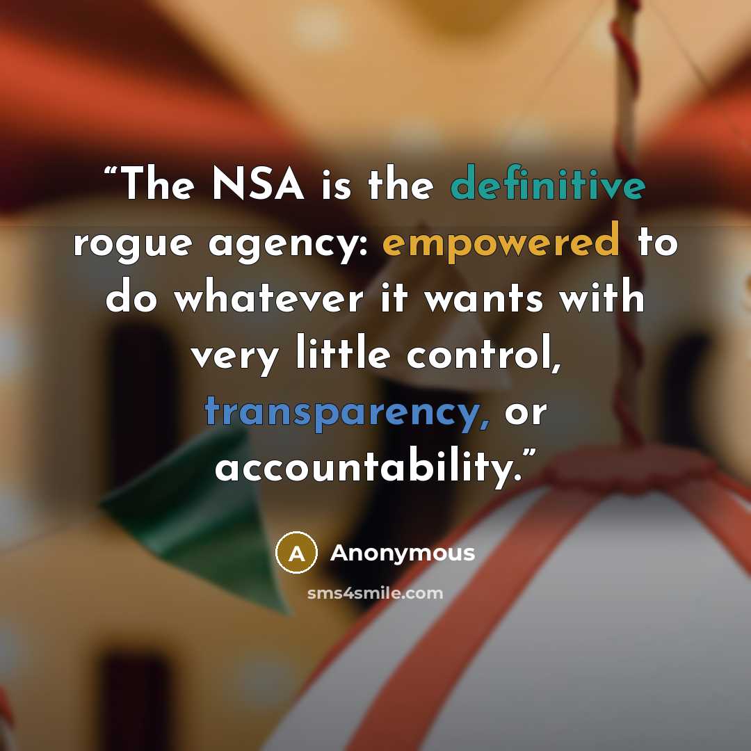 “The NSA is the definitive rogue agency: empowered to do whatever it wants with very little control, transparency, or accountability.” quote by Anonymous