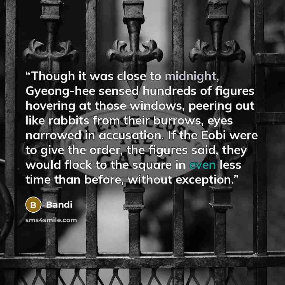 “Though it was close to midnight, Gyeong-hee sensed hundreds of figures hovering at those windows, peering out like rabbits from their burrows, eyes narrowed in accusation. If the Eobi were to give the order, the figures said, they would flock to the square in even less time than before, without…” quote by Bandi