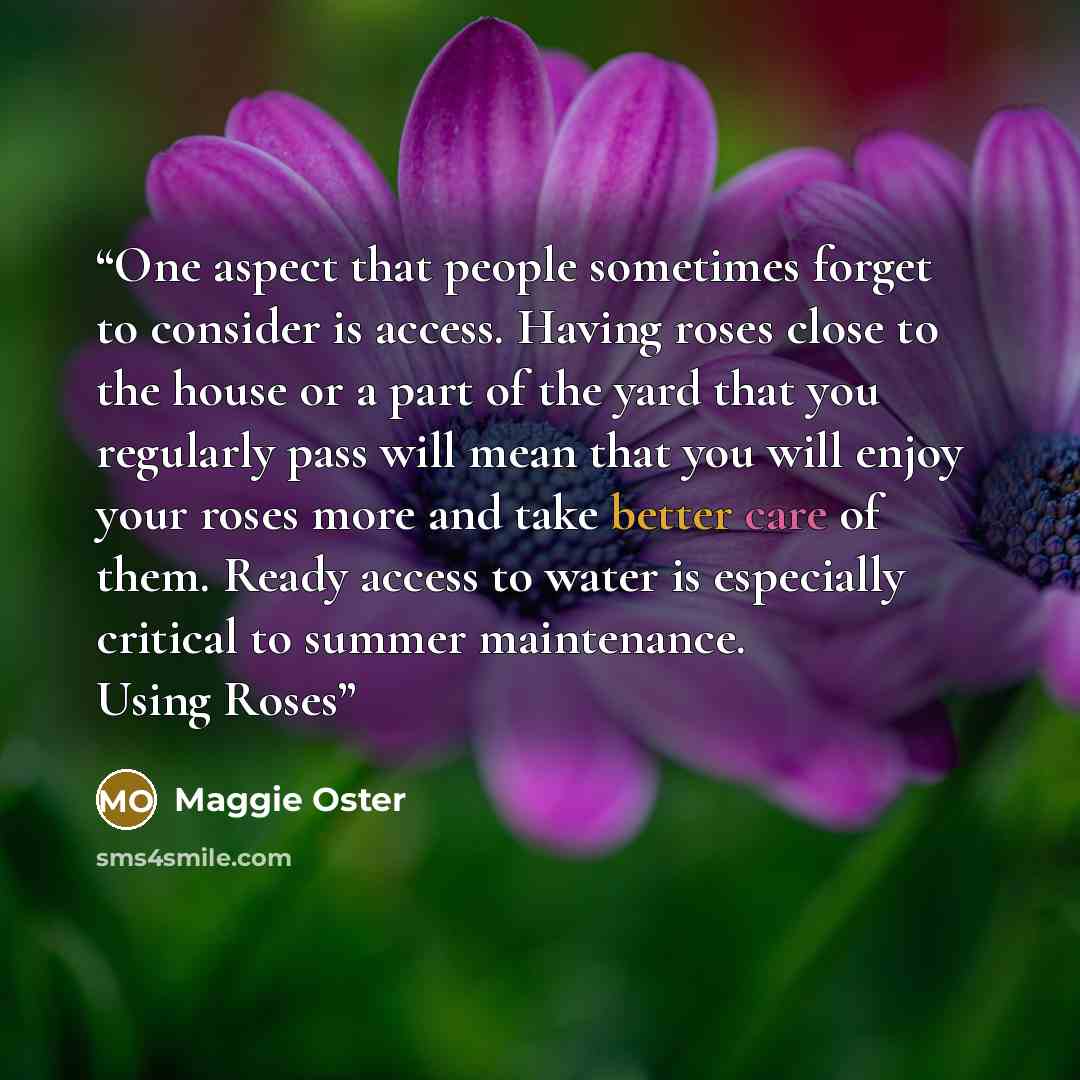 “One aspect that people sometimes forget to consider is access. Having roses close to the house or a part of the yard that you regularly pass will mean that you will enjoy your roses more and take better care of them. Ready access to water is especially critical to summer maintenance. Using Roses” quote by Maggie Oster