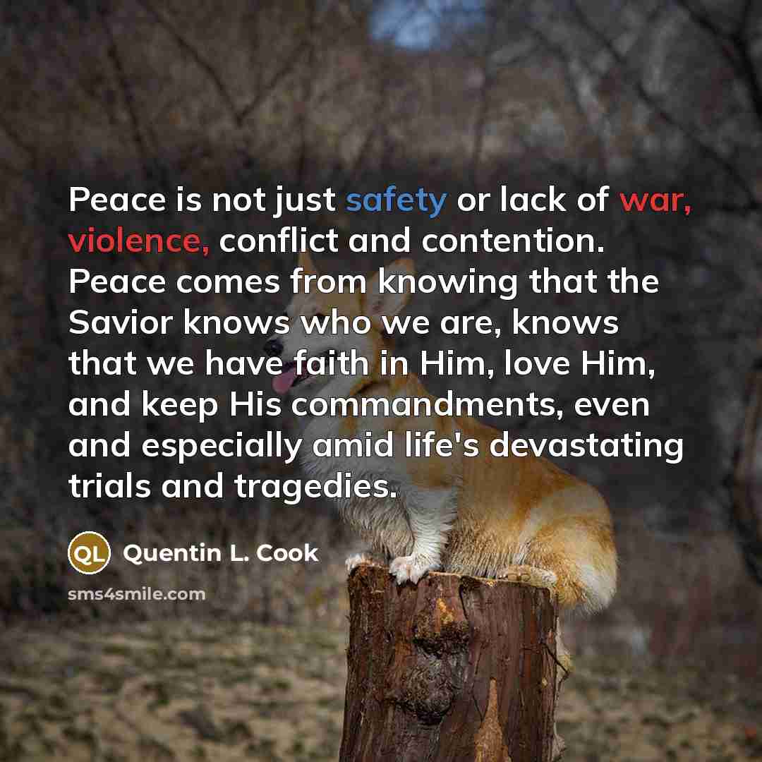 “Peace is not just safety or lack of war, violence, conflict and contention. Peace comes from knowing that the Savior knows who we are, knows that we have faith in Him, love Him, and keep His commandments, even and especially amid life's devastating trials and tragedies.” quote by Quentin L. Cook