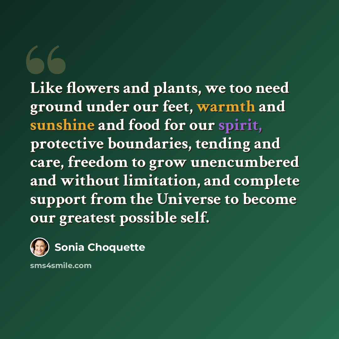 “Like flowers and plants, we too need ground under our feet, warmth and sunshine and food for our spirit, protective boundaries, tending and care, freedom to grow unencumbered and without limitation, and complete support from the Universe to become our greatest possible self.” quote by Sonia Choquette