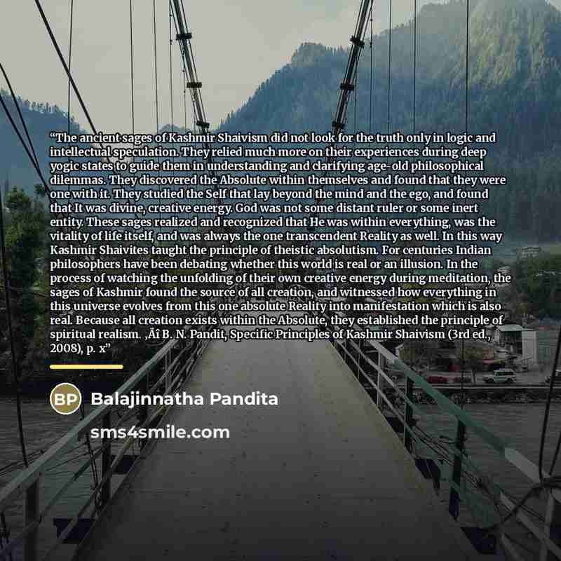 “The ancient sages of Kashmir Shaivism did not look for the truth only in logic and intellectual speculation. They relied much more on their experiences during deep yogic states to guide them in understanding and clarifying age-old philosophical dilemmas. They discovered the Absolute within…” quote by Balajinnatha Pandita