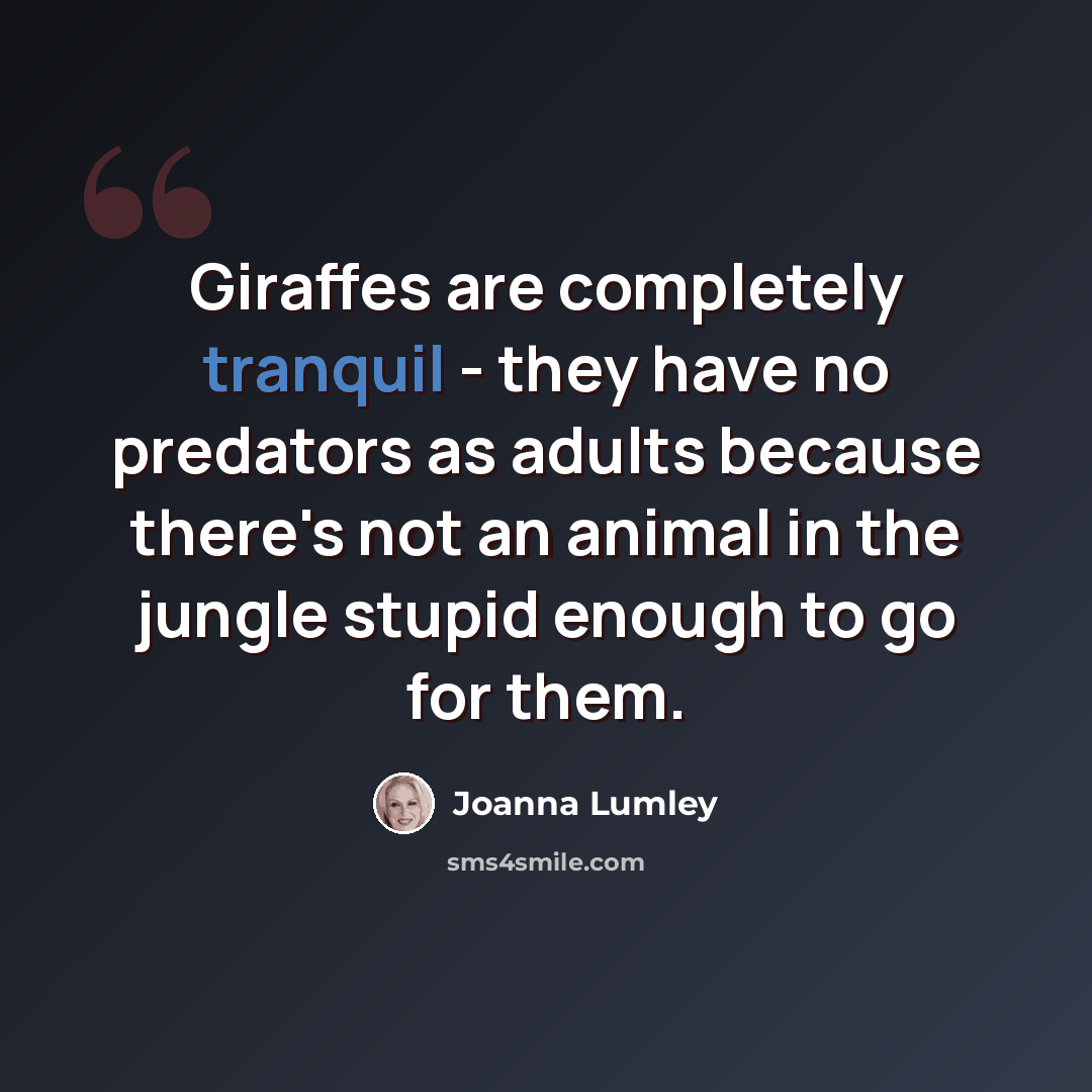 “Giraffes are completely tranquil - they have no predators as adults because there's not an animal in the jungle stupid enough to go for them.” quote by Joanna Lumley