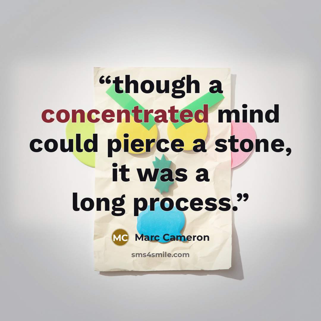 “though a concentrated mind could pierce a stone, it was a long process.” quote by Marc Cameron
