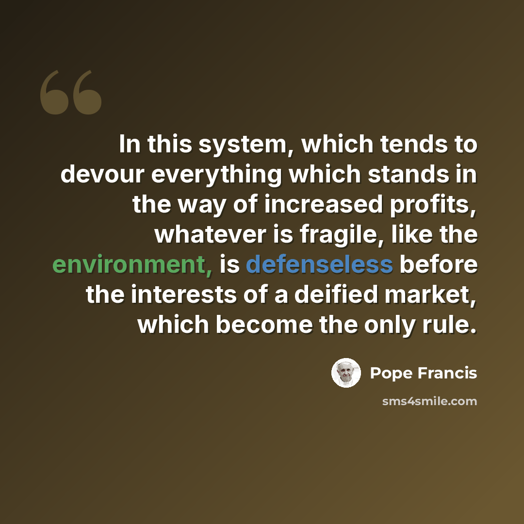 “In this system, which tends to devour everything which stands in the way of increased profits, whatever is fragile, like the environment, is defenseless before the interests of a deified market, which become the only rule.” quote by Pope Francis