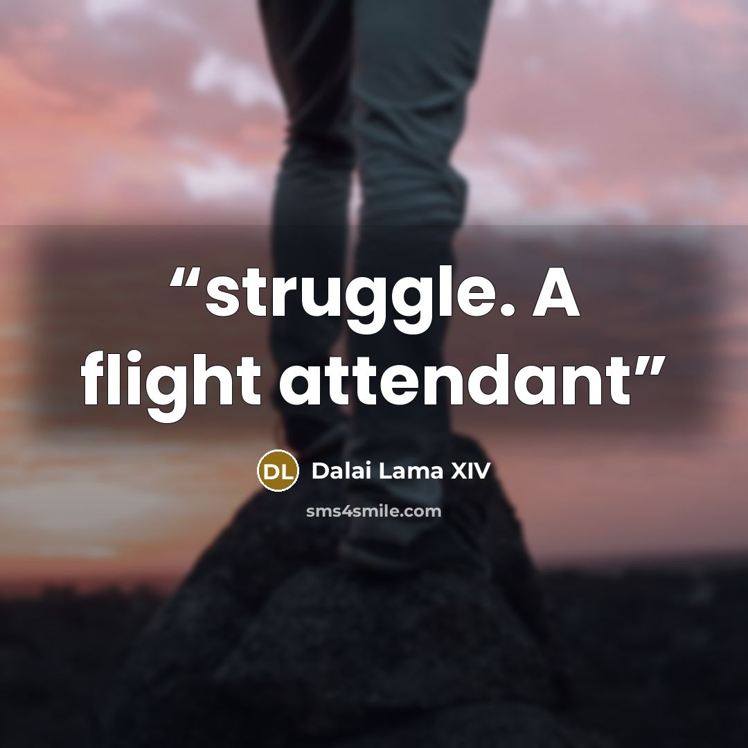 “struggle. A flight attendant” quote by Dalai Lama XIV