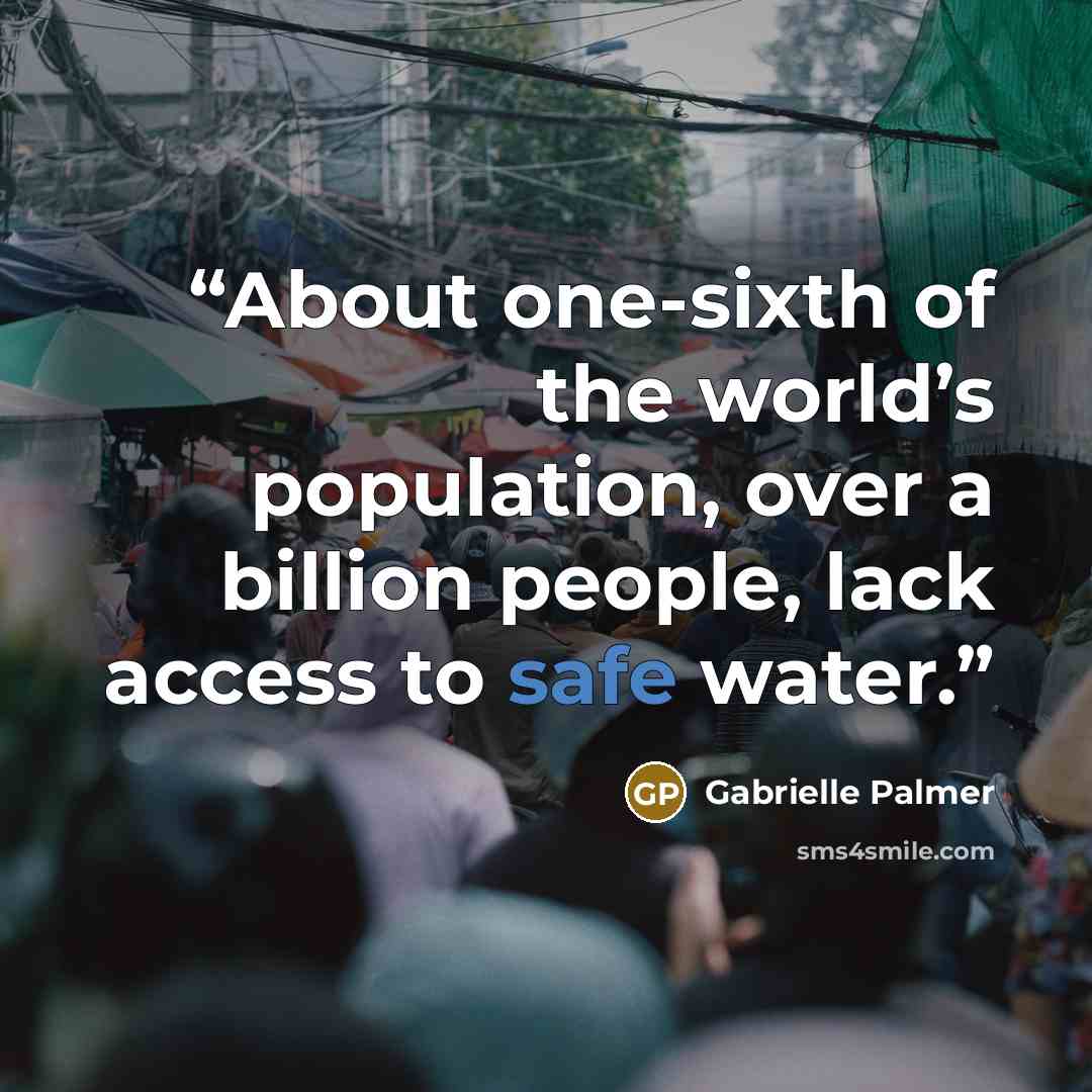 “About one-sixth of the world’s population, over a billion people, lack access to safe water.” quote by Gabrielle Palmer