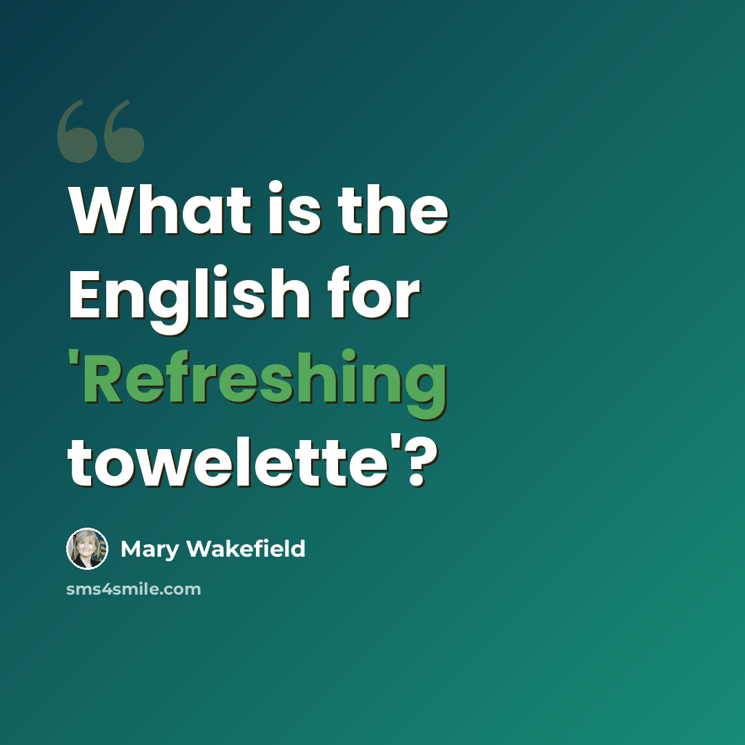 “What is the English for 'Refreshing towelette'?” quote by Mary Wakefield