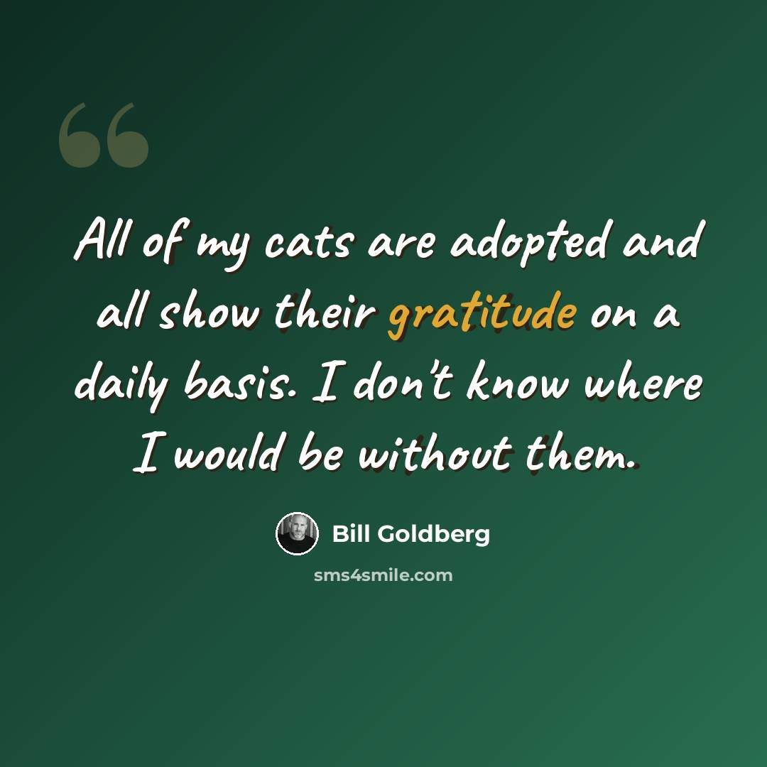 “All of my cats are adopted and all show their gratitude on a daily basis. I don't know where I would be without them.” quote by Bill Goldberg