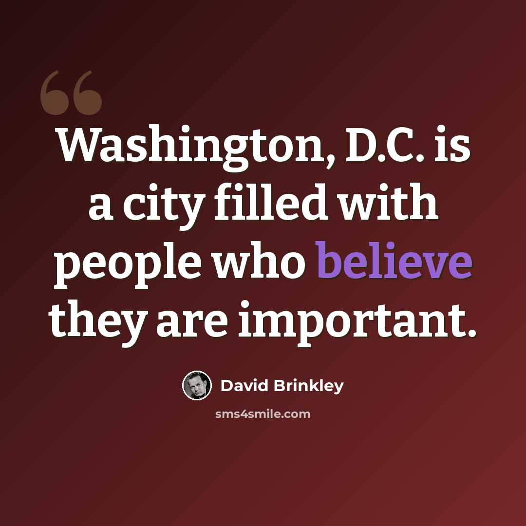 “Washington, D.C. is a city filled with people who believe they are important.” quote by David Brinkley