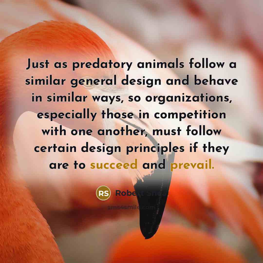 “Just as predatory animals follow a similar general design and behave in similar ways, so organizations, especially those in competition with one another, must follow certain design principles if they are to succeed and prevail.” quote by Robert Shea
