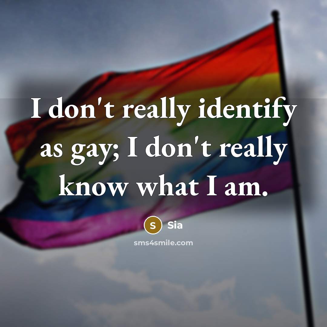“I don't really identify as gay; I don't really know what I am.” quote by Sia