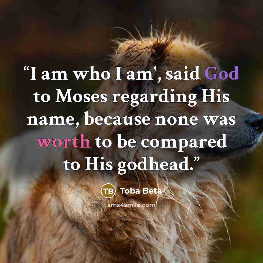 “I am who I am', said God to Moses regarding His name, because none was worth to be compared to His godhead.” quote by Toba Beta