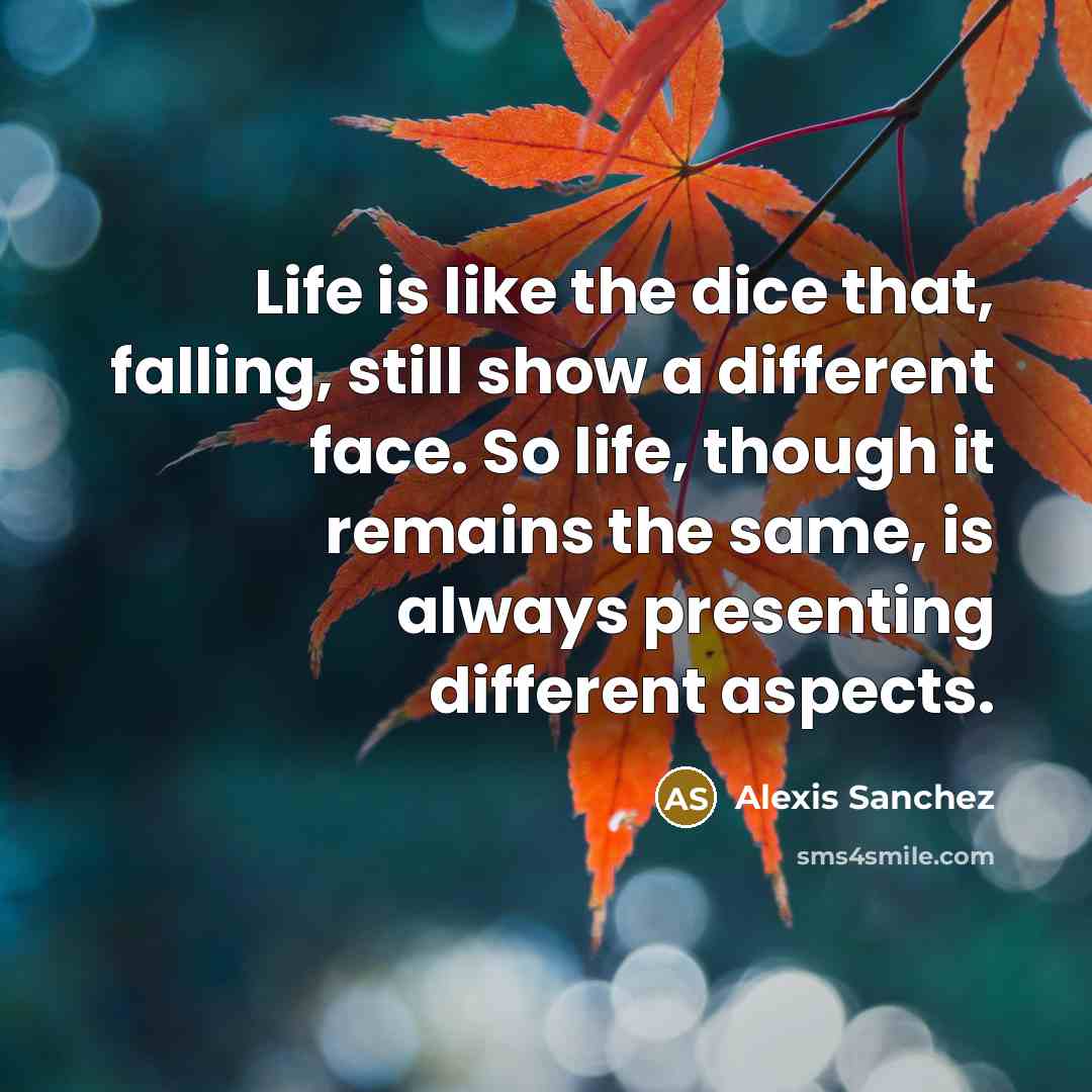 “Life is like the dice that, falling, still show a different face. So life, though it remains the same, is always presenting different aspects.” quote by Alexis Sanchez