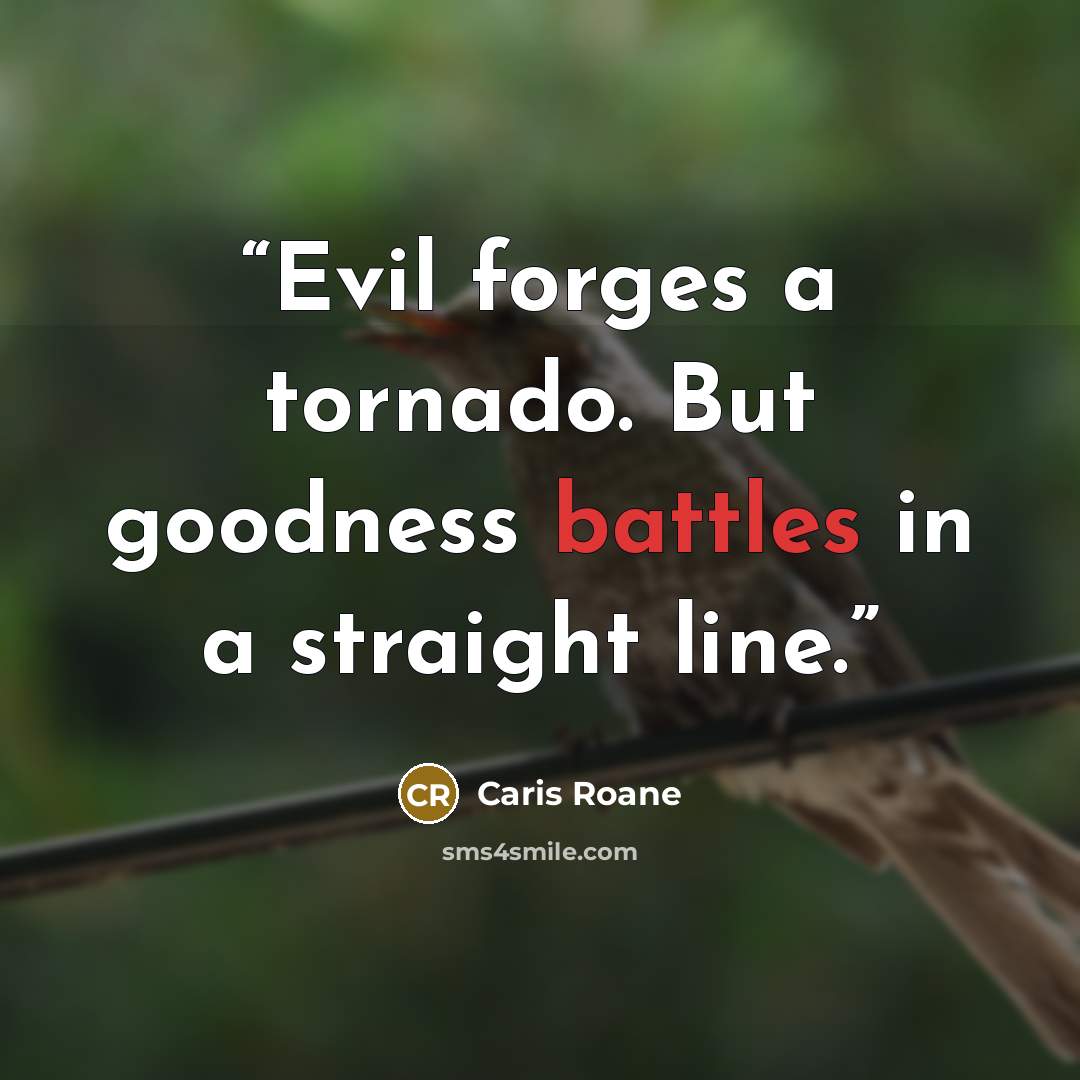 “Evil forges a tornado. But goodness battles in a straight line.” quote by Caris Roane