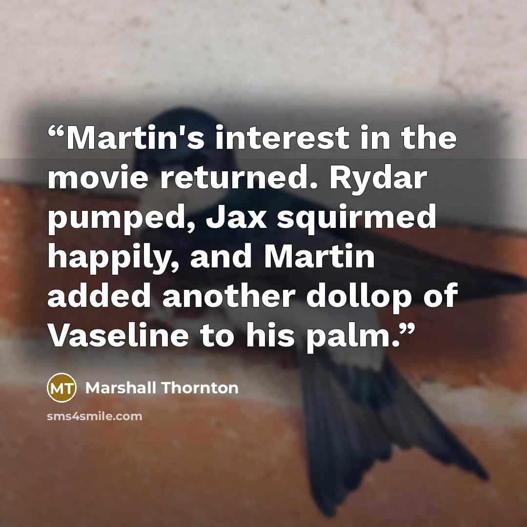 “Martin's interest in the movie returned. Rydar pumped, Jax squirmed happily, and Martin added another dollop of Vaseline to his palm.” quote by Marshall Thornton