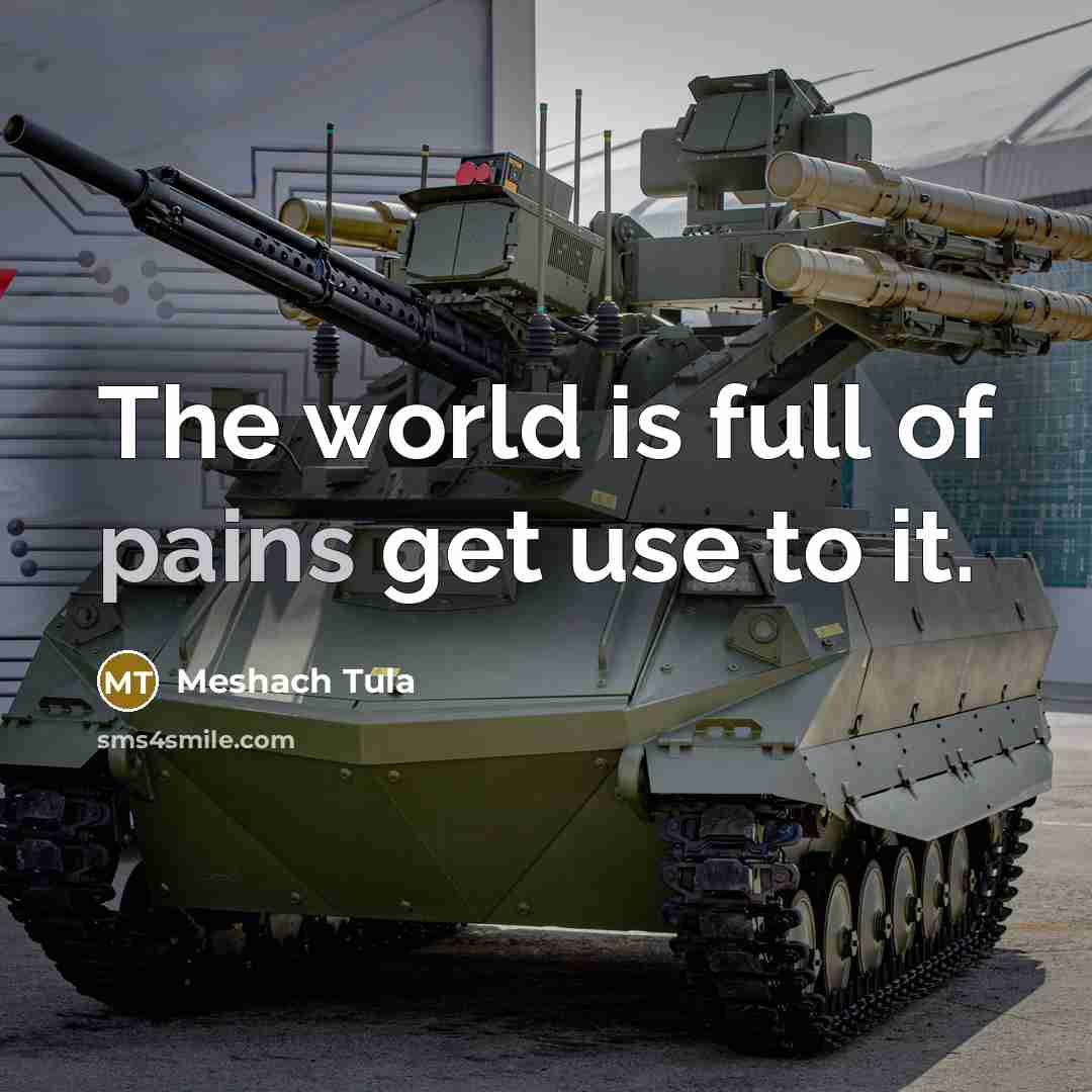 “The world is full of pains get use to it.” quote by Meshach Tula