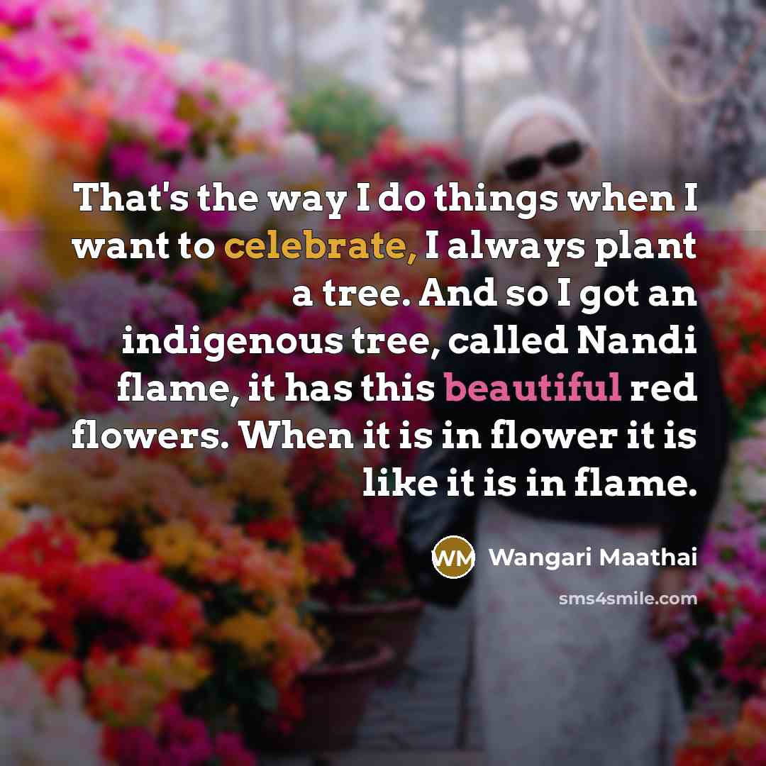 “That's the way I do things when I want to celebrate, I always plant a tree. And so I got an indigenous tree, called Nandi flame, it has this beautiful red flowers. When it is in flower it is like it is in flame.” quote by Wangari Maathai