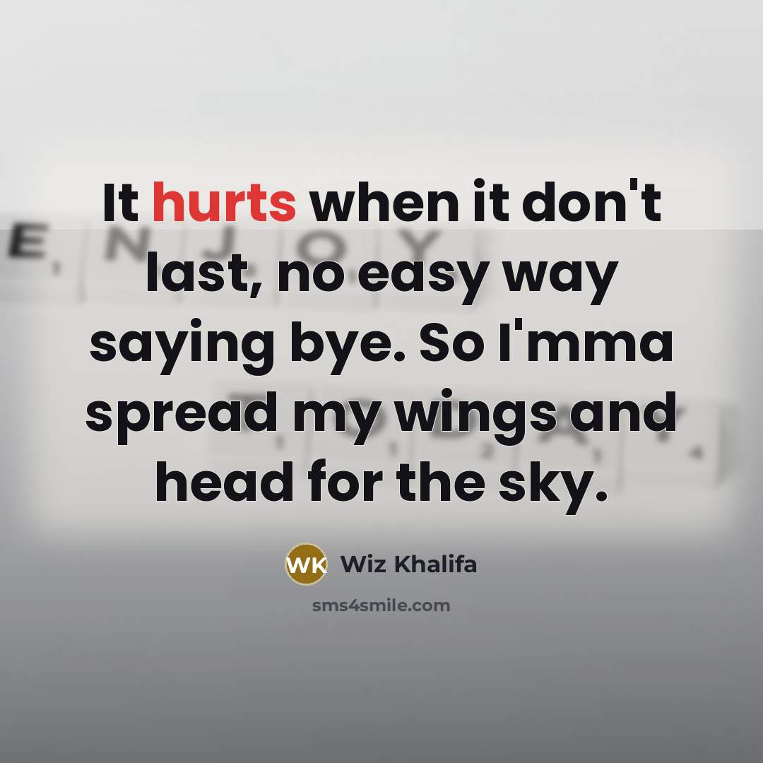 “It hurts when it don't last, no easy way saying bye. So I'mma spread my wings and head for the sky.” quote by Wiz Khalifa