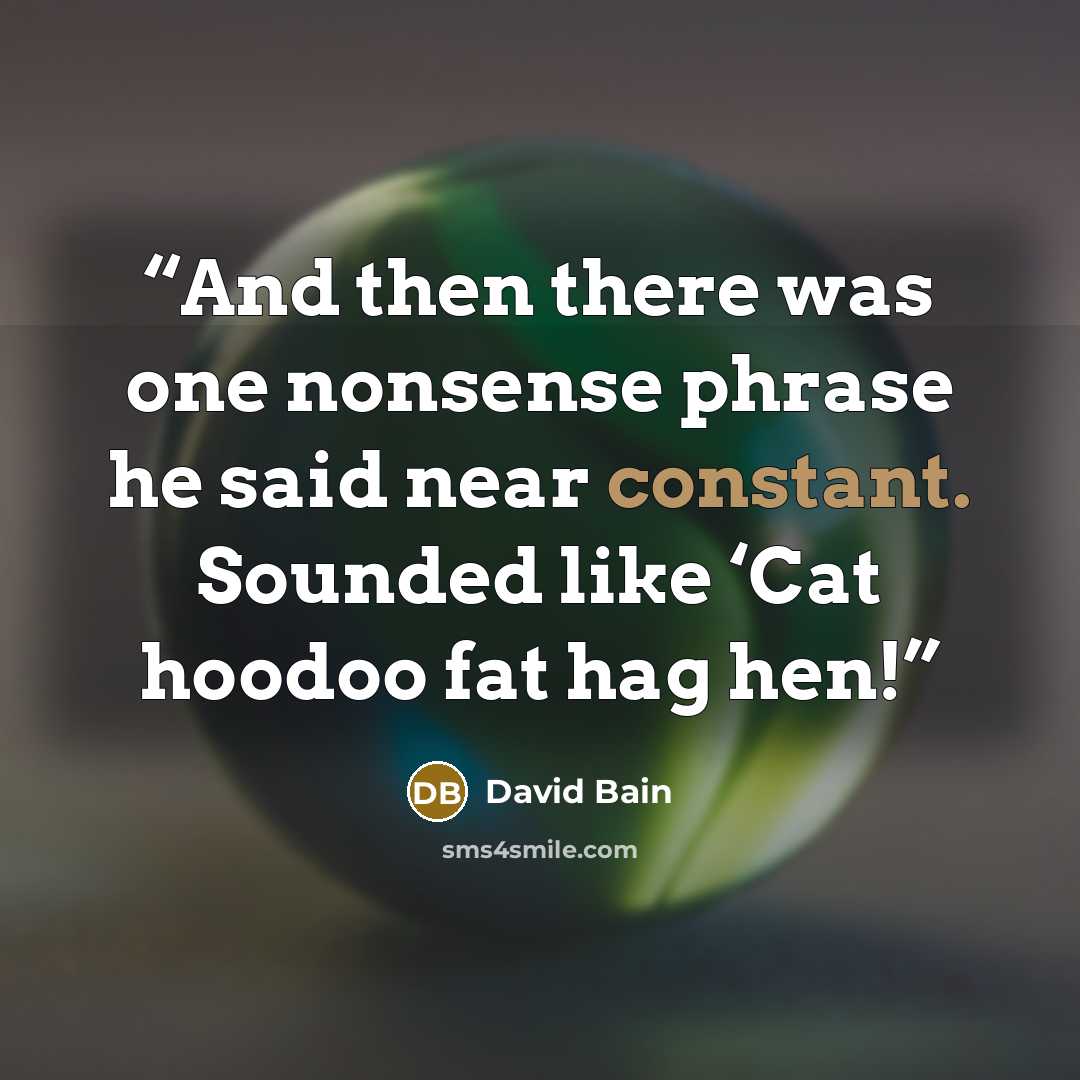 “And then there was one nonsense phrase he said near constant. Sounded like ‘Cat hoodoo fat hag hen!” quote by David Bain