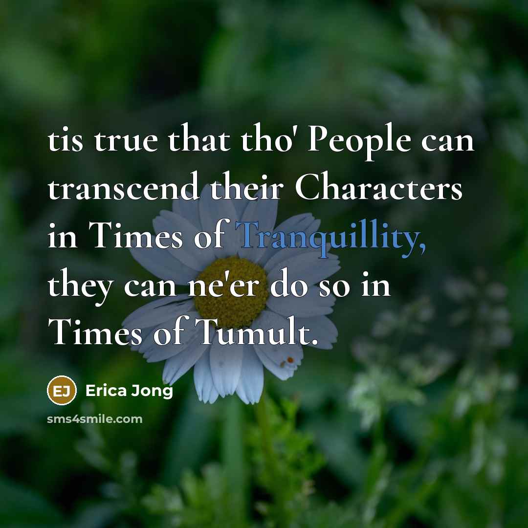 “tis true that tho' People can transcend their Characters in Times of Tranquillity, they can ne'er do so in Times of Tumult.” quote by Erica Jong