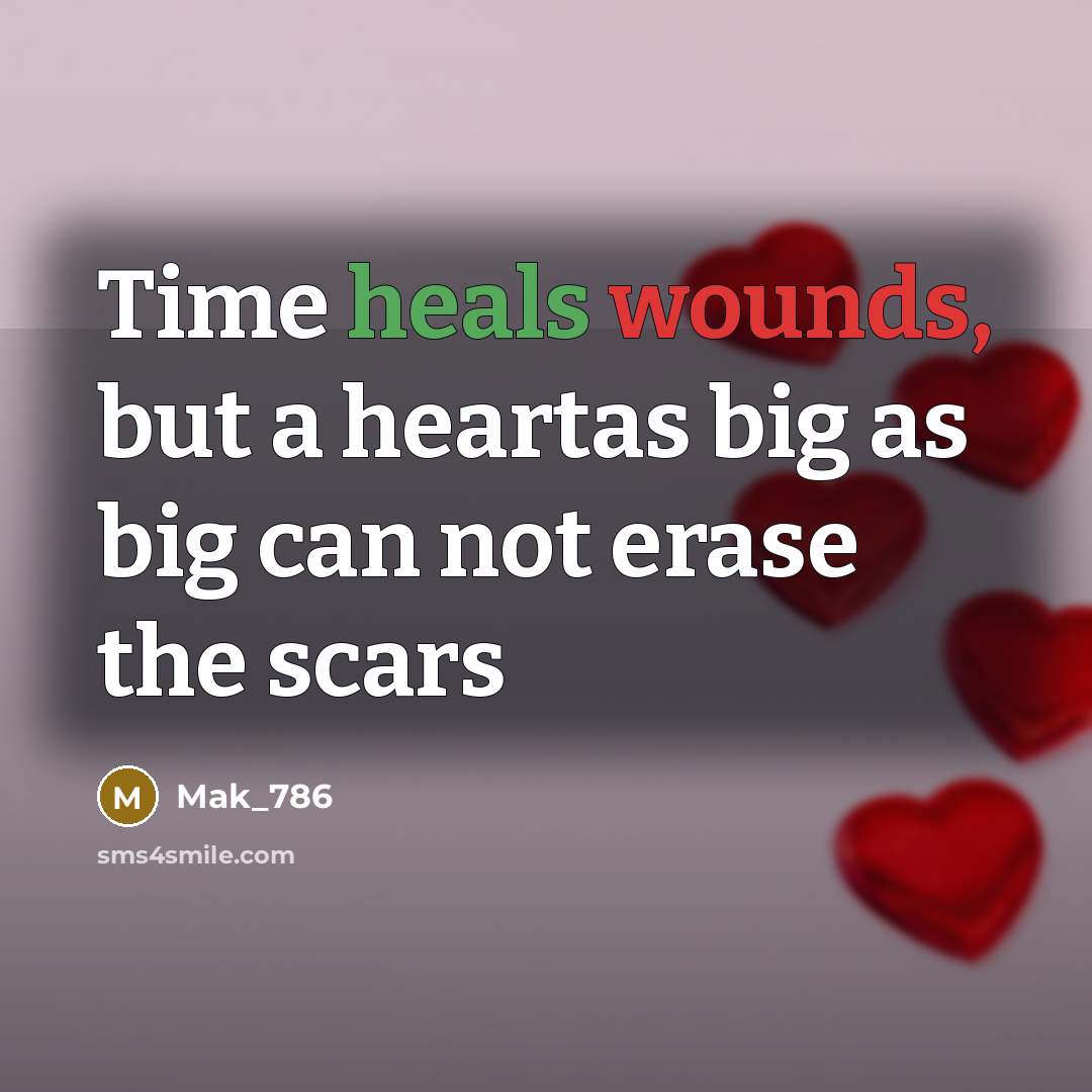 “Time heals wounds, but a heartas big as big can not erase the scars” quote by Mak_786