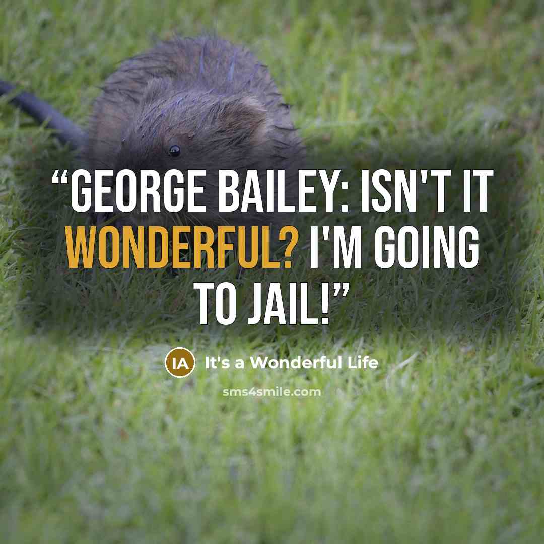 “George Bailey: Isn't it wonderful? I'm going to jail!” quote by It's a Wonderful Life