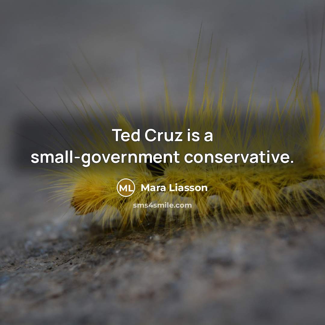 “Ted Cruz is a small-government conservative.” quote by Mara Liasson