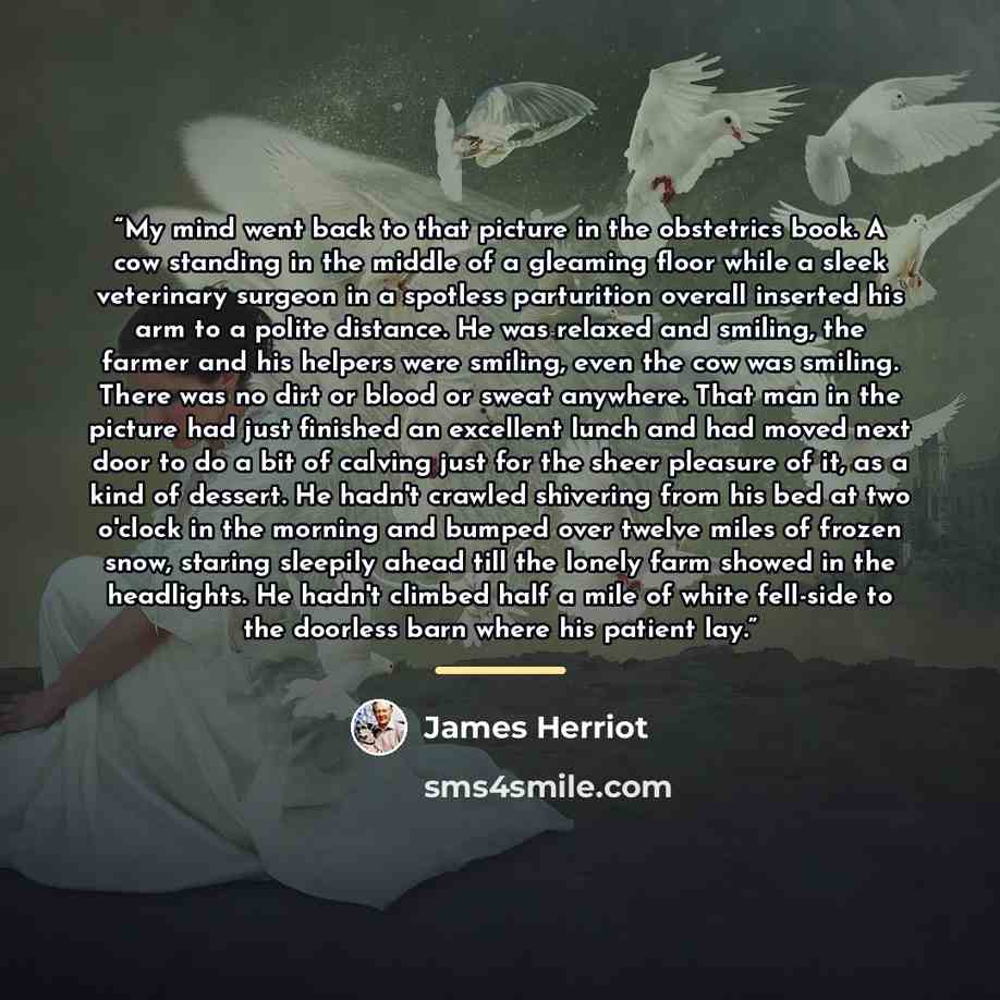 “My mind went back to that picture in the obstetrics book. A cow standing in the middle of a gleaming floor while a sleek veterinary surgeon in a spotless parturition overall inserted his arm to a polite distance. He was relaxed and smiling, the farmer and his helpers were smiling, even the cow was…” quote by James Herriot