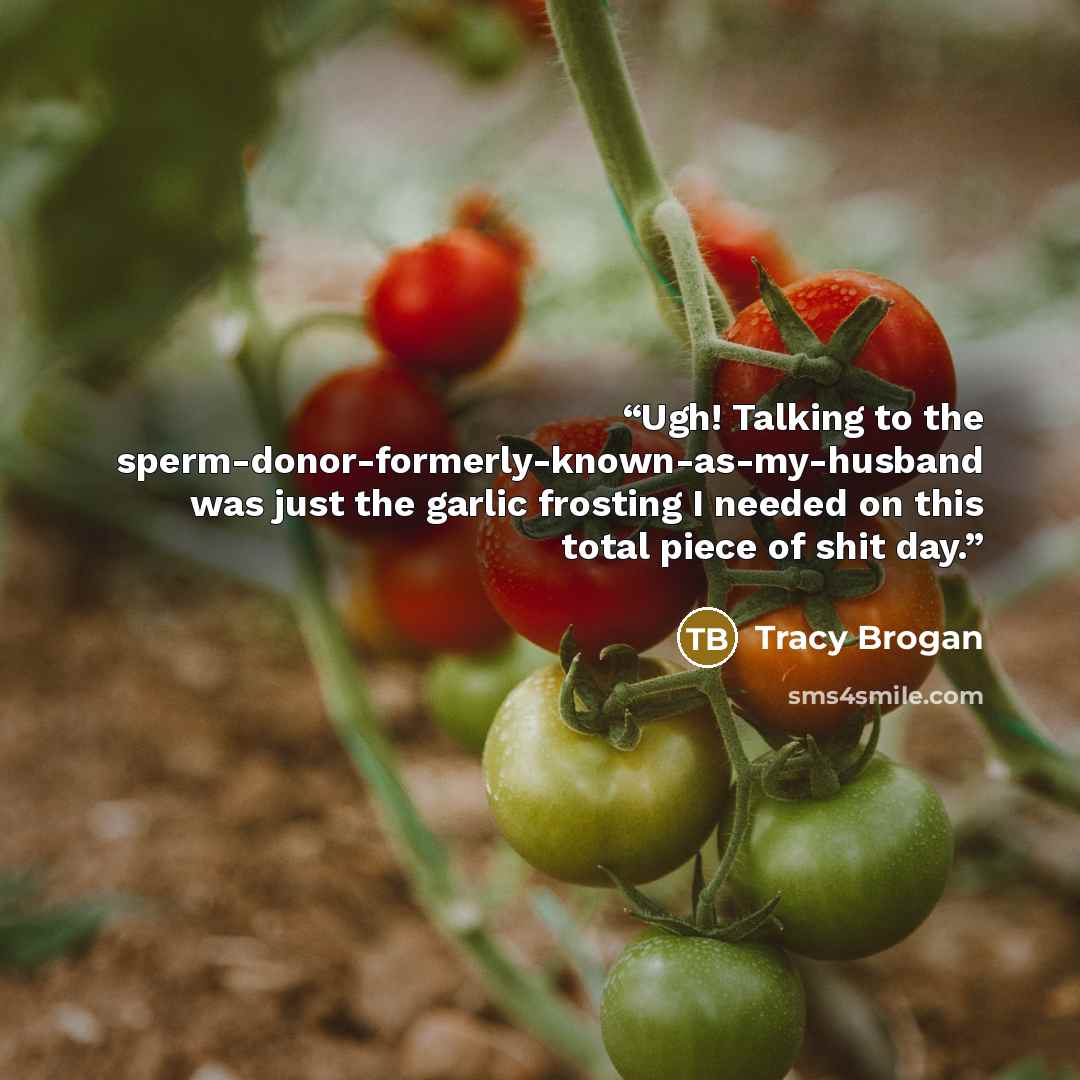 “Ugh! Talking to the sperm-donor-formerly-known-as-my-husband was just the garlic frosting I needed on this total piece of shit day.” quote by Tracy Brogan