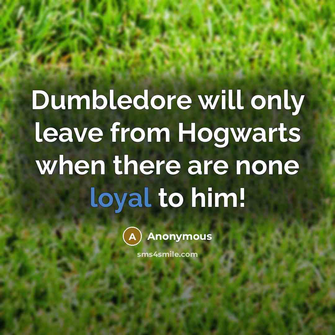 “Dumbledore will only leave from Hogwarts when there are none loyal to him!” quote by Anonymous