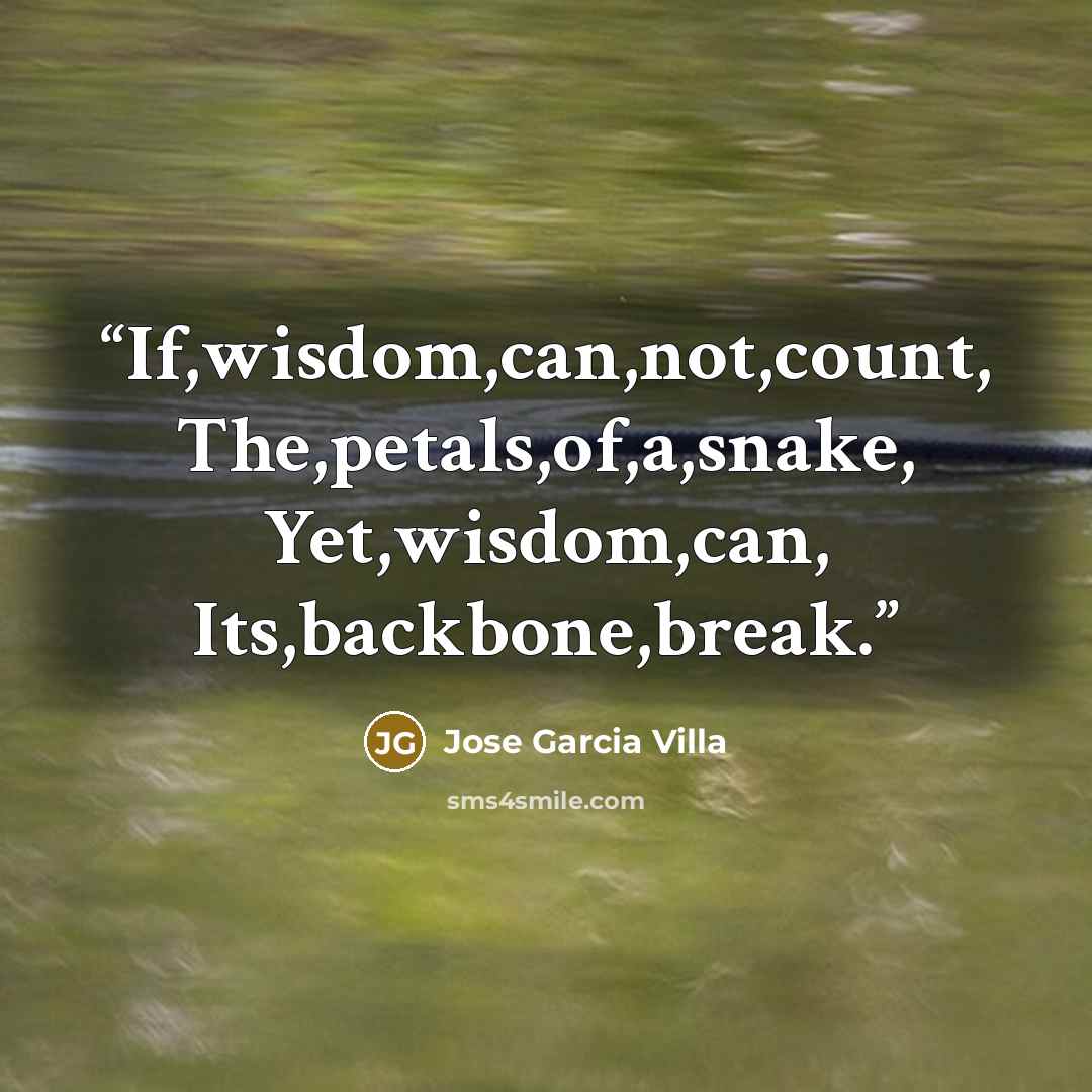 “If,wisdom,can,not,count, The,petals,of,a,snake, Yet,wisdom,can, Its,backbone,break.” quote by Jose Garcia Villa
