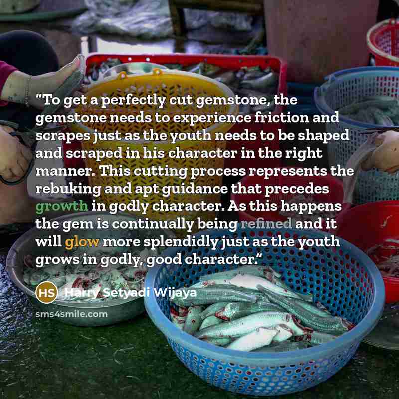 “To get a perfectly cut gemstone, the gemstone needs to experience friction and scrapes just as the youth needs to be shaped and scraped in his character in the right manner. This cutting process represents the rebuking and apt guidance that precedes growth in godly character. As this happens the…” quote by Harry Setyadi Wijaya