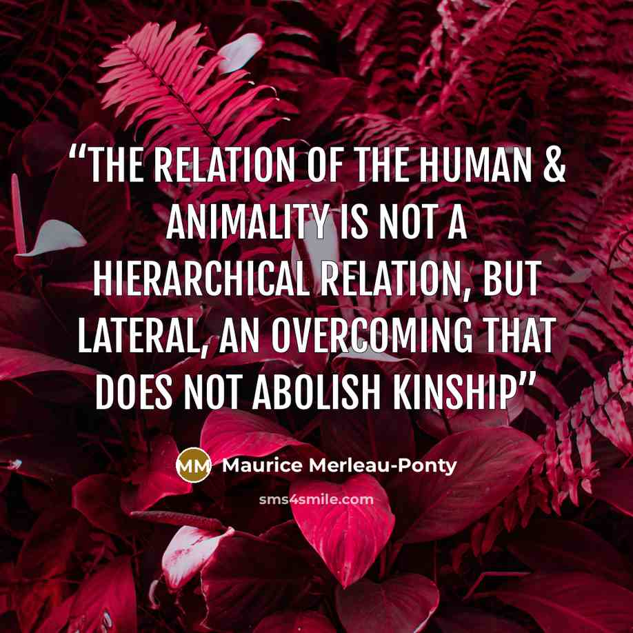 “The relation of the human & animality is not a hierarchical relation, but lateral, an overcoming that does not abolish kinship” quote by Maurice Merleau-Ponty