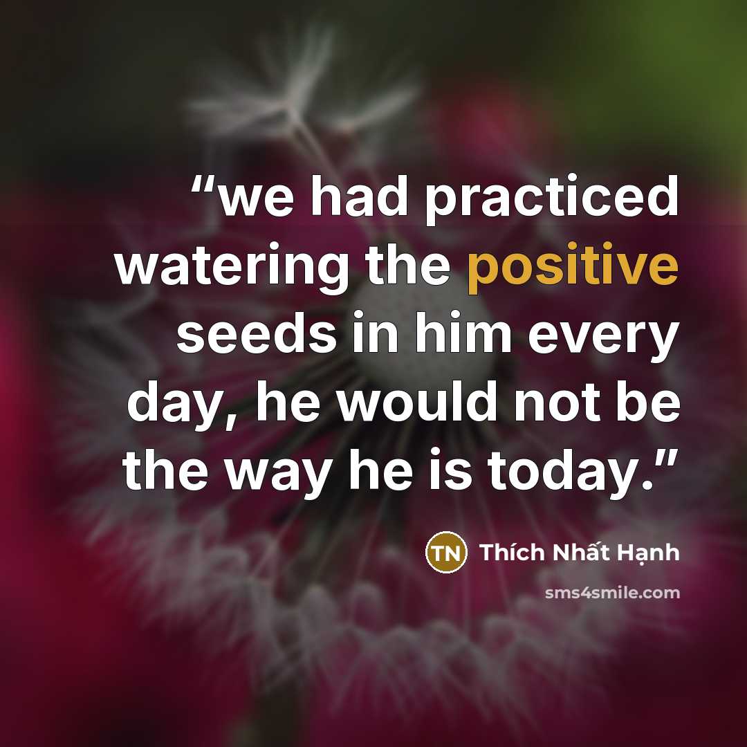 “we had practiced watering the positive seeds in him every day, he would not be the way he is today.” quote by Thich Nhat Hanh