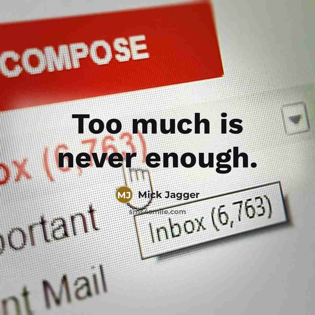 “Too much is never enough.” quote by Mick Jagger