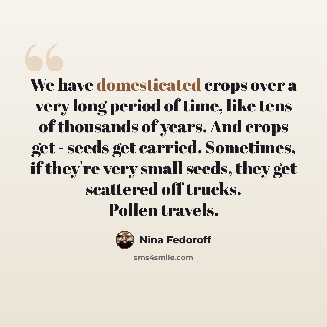 “We have domesticated crops over a very long period of time, like tens of thousands of years. And crops get - seeds get carried. Sometimes, if they're very small seeds, they get scattered off trucks. Pollen travels.” quote by Nina Fedoroff
